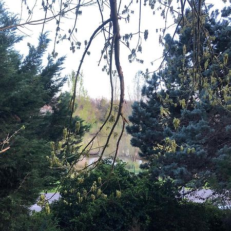 Logement Entier Aussonne Exterior foto